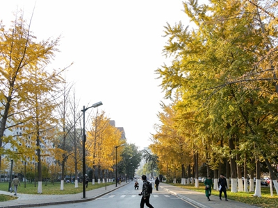  北京服装学院日本留学预科项目定向班招生简章 